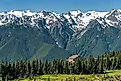 The Hurricane Ridge viewpoint in Olympic National Park.