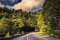 Newfound Gap Road in the Great Smoky Mountains National Park, Tennessee.
