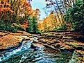 Ohiopyle State Park.
