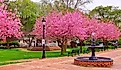 Bellefonte, Pennsylvania, a park with trees in full bloom.