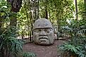 The outdoor museum of Parque Museo La Venta in Tabasco, Mexico, showcases ancient Olmec heads and other basalt carvings.Editorial credit: JC Gonram / Shutterstock.com