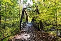 The Virginia Creeper Trail, the most popular bike route in the region in Abingdon, VA.