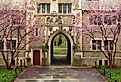 Exterior of Princeton campus building in Princeton, New Jersey. Image credit Jay Yuan via Shutterstock.