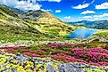 Retezat National Park,Carpathians,Romania,Europe