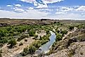 Gila River flowing through the Gila Box Riparian National Conservation Area near Safford, Arizona.