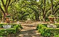 Rosedown Plantation in St. Francisville, Louisiana, a historic estate known for its grand architecture, manicured gardens, and antebellum charm.