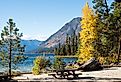 Fall foliage on the banks of Lake Wenatchee, Washington state, USA. 