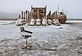 At the dry coast of lake Urmia of Iran, an abandoned ship is stuck in solidified salt due to to devastating water loss in what was once the sixth-largest salt lake on earth.