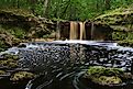 Falling Creek Falls in Florida