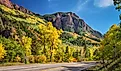 Golden autumn aspen near Redstone, Colorado on Scenic Highway 133	