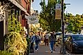 Downtown Elora, Ontario. Image credit Alessandro Cancian via Shutterstock