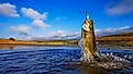 Big Bass, Fishing on lake with blue sky at dawn. 