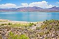 Theodore Roosevelt Lake, Arizone