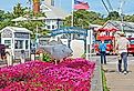 Macmillan Wharf in Provincetown, Massachusetts. Image credit Mystic Stock Photography via Shutterstock