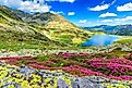 Carpathian Mountains, Romania.