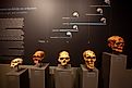 The evolutionary process led to modern humans. Editorial credit: Esin Deniz / Shutterstock.com