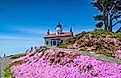 Foreground view of the Battery Point Lighthouse in Crescent City, CA