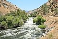 Kern River near Bakersfield in California. 
