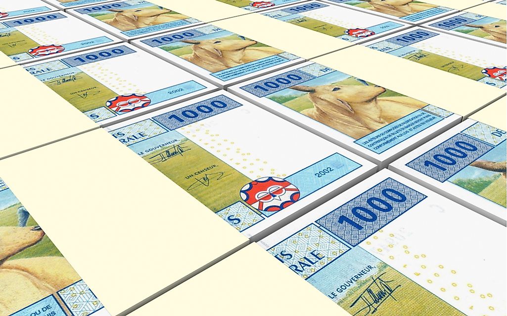 What is the Currency of Cameroon?