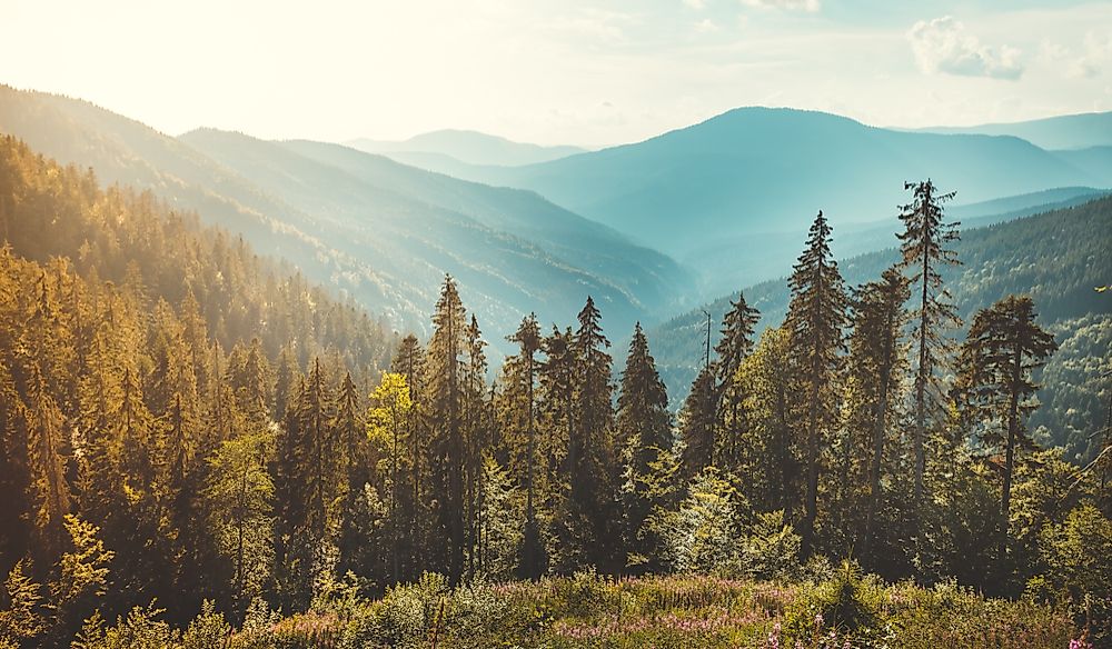 Where Are The Carpathian Mountains?