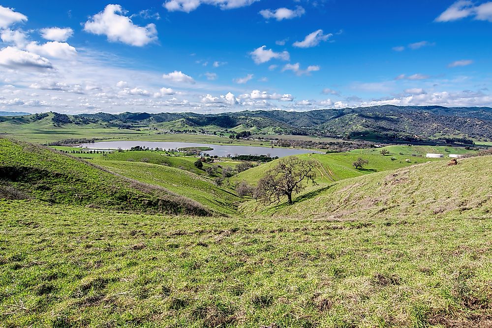 What And Where Is The Chaparral?