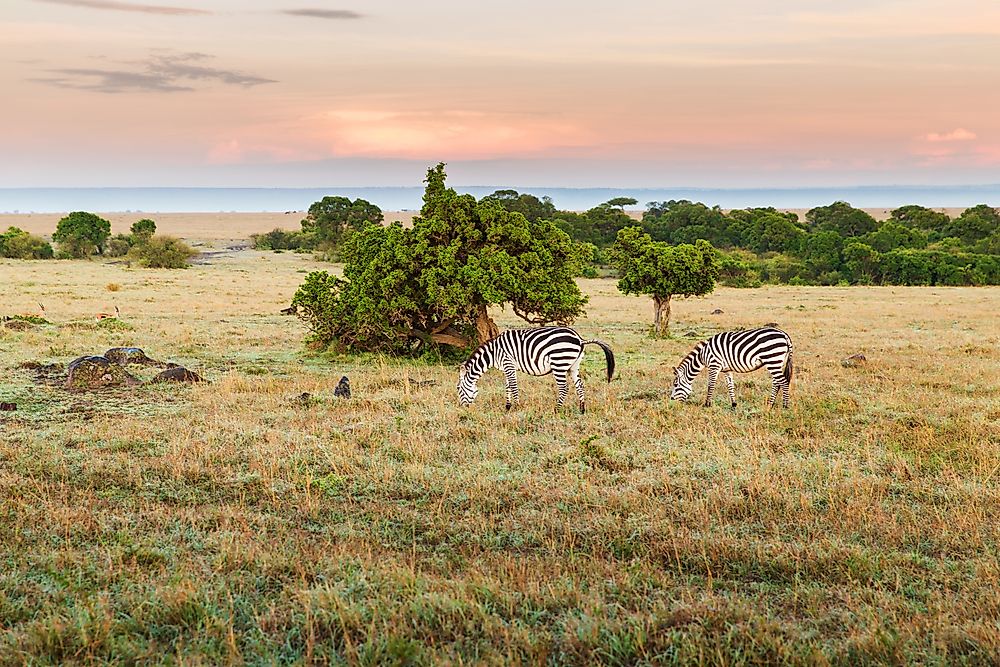 Top 10 Tourist Destinations In Kenya