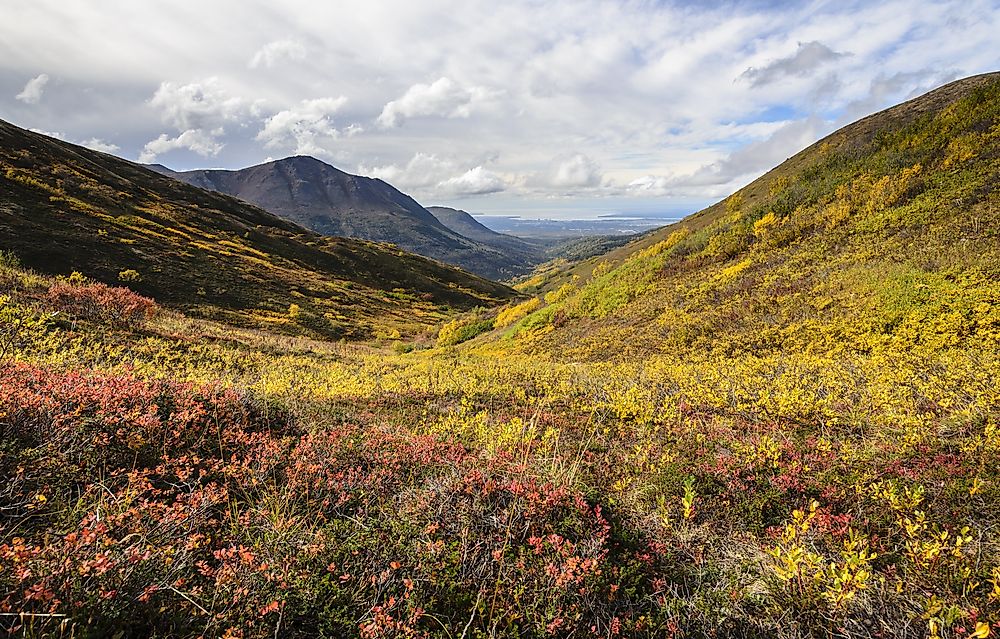 The Largest City Parks in the United States