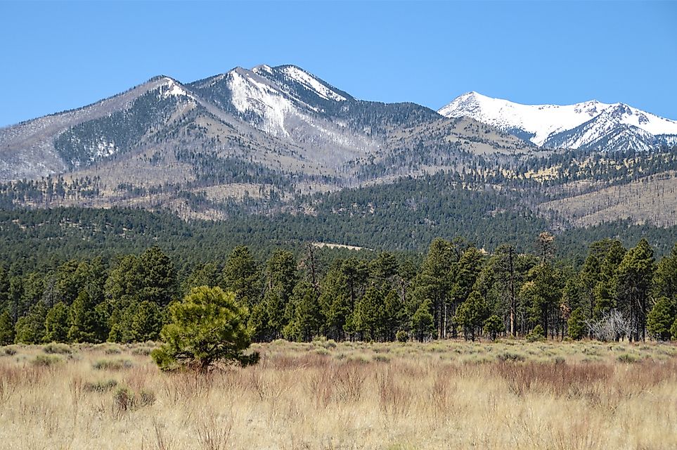 The 10 Tallest Peaks in Arizona - WorldAtlas.com