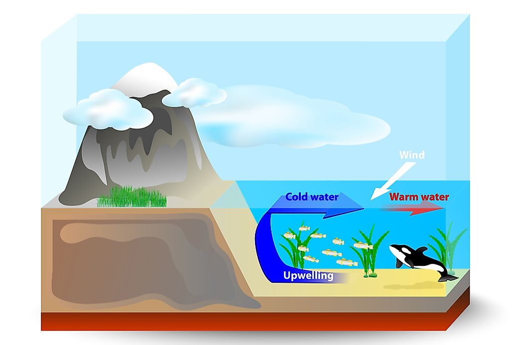What Is Upwelling?