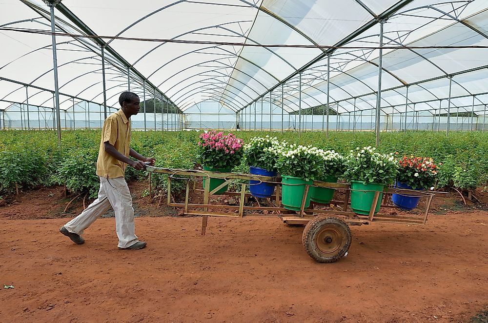 What Are The Biggest Industries In Zambia?