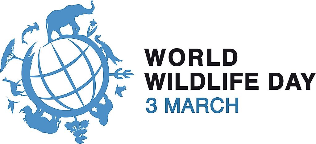Environmental Holidays And Events Recognized Globally