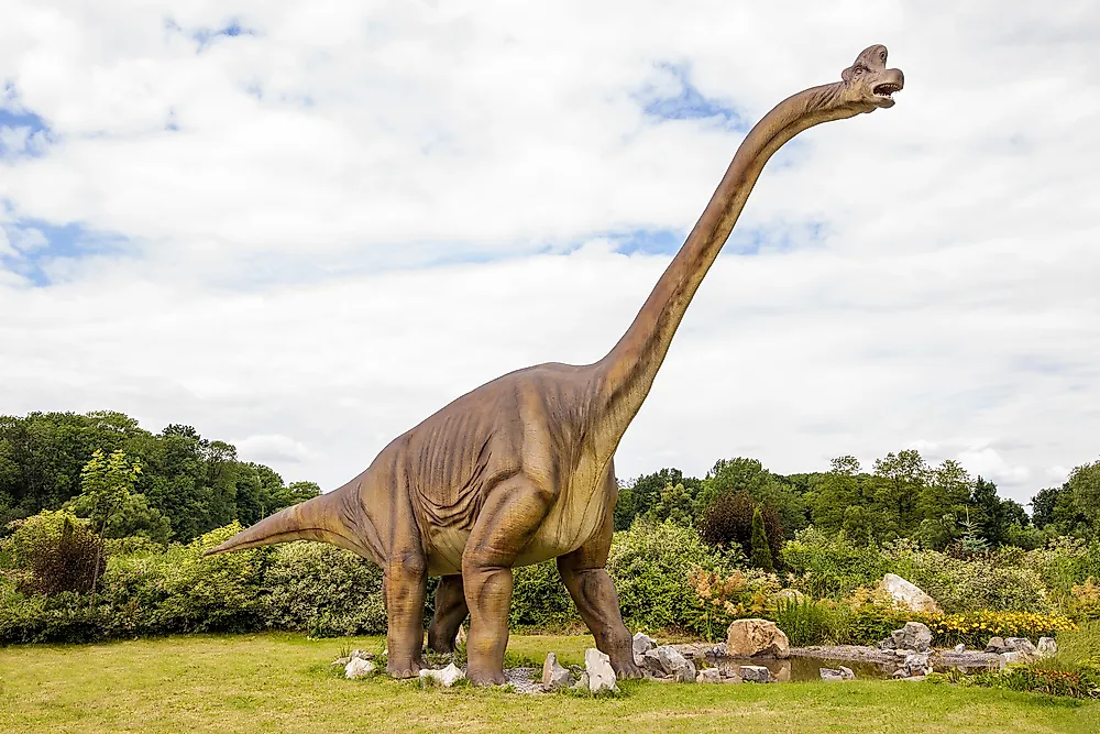 diplodocus teddy