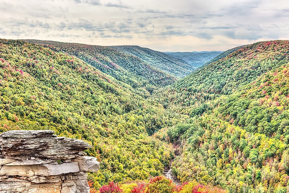 The Four Northeastern National Forests