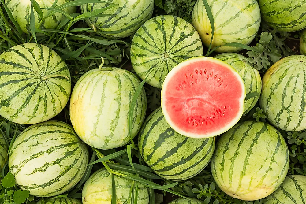 Top Watermelon Producing Countries In The World