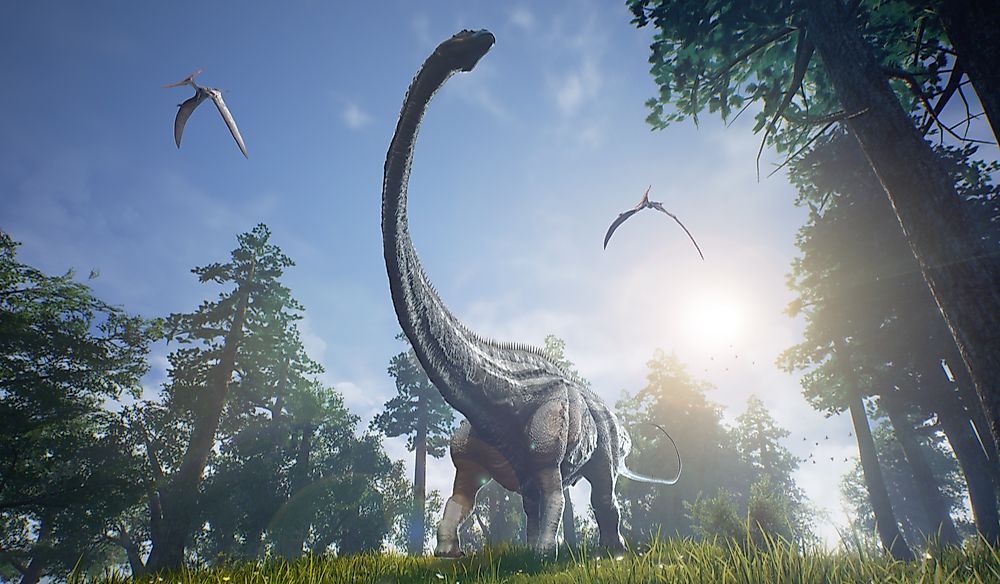 What Are The Differences Between Avian And NonAvian Dinosaurs?