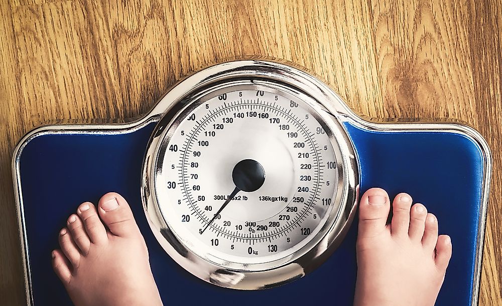 The Most Obese Countries In The World