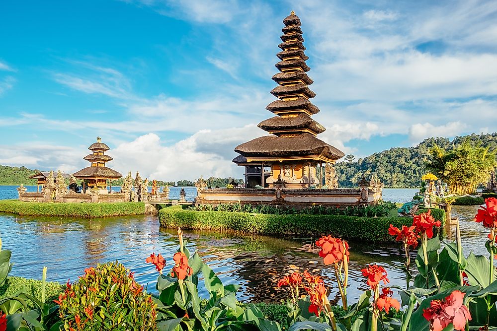 Inspirasi Spesial Lesser Sunda Islands Rumah Pohon