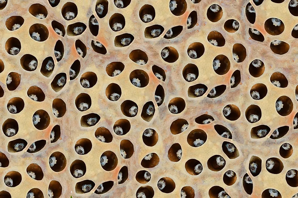 fear of clusters fear of clusters