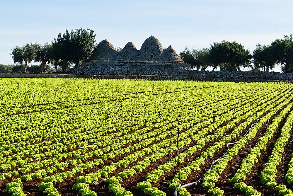 Top European Countries For Organic Farming