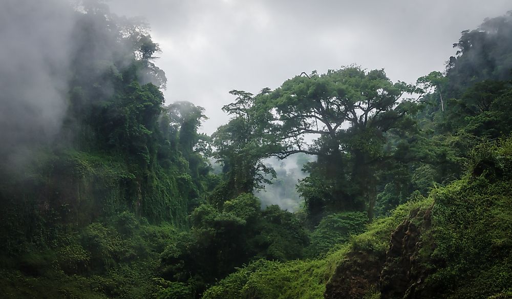 What Type Of Climate Does Cameroon Have?