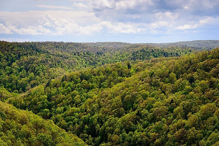 The Cumberland Plateau - Unique Places In The U.S.A.
