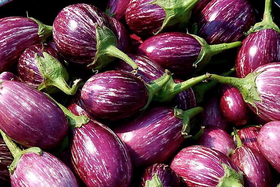 Top Eggplant Producing Countries In The World