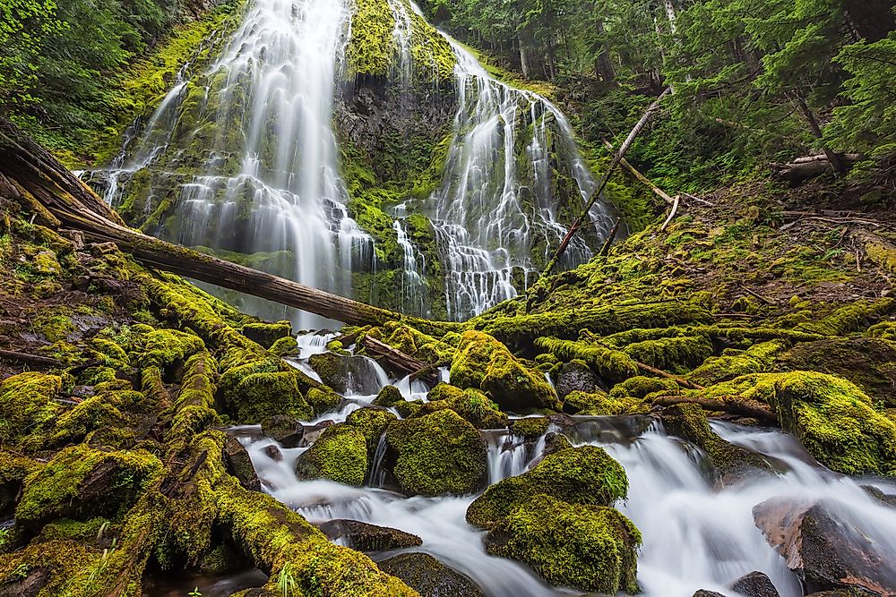 US National Forests of Oregon