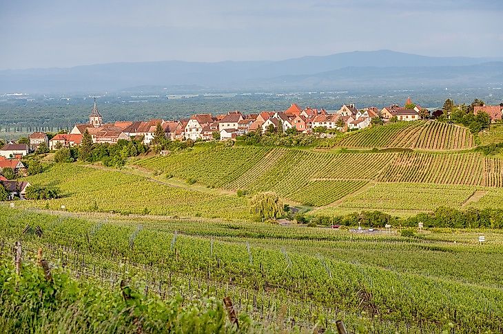 Where Can The Vosges Mountains Be Found?
