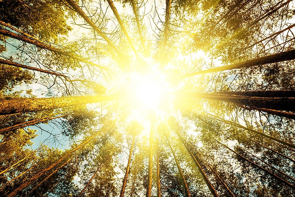 What is a Global Public Good?