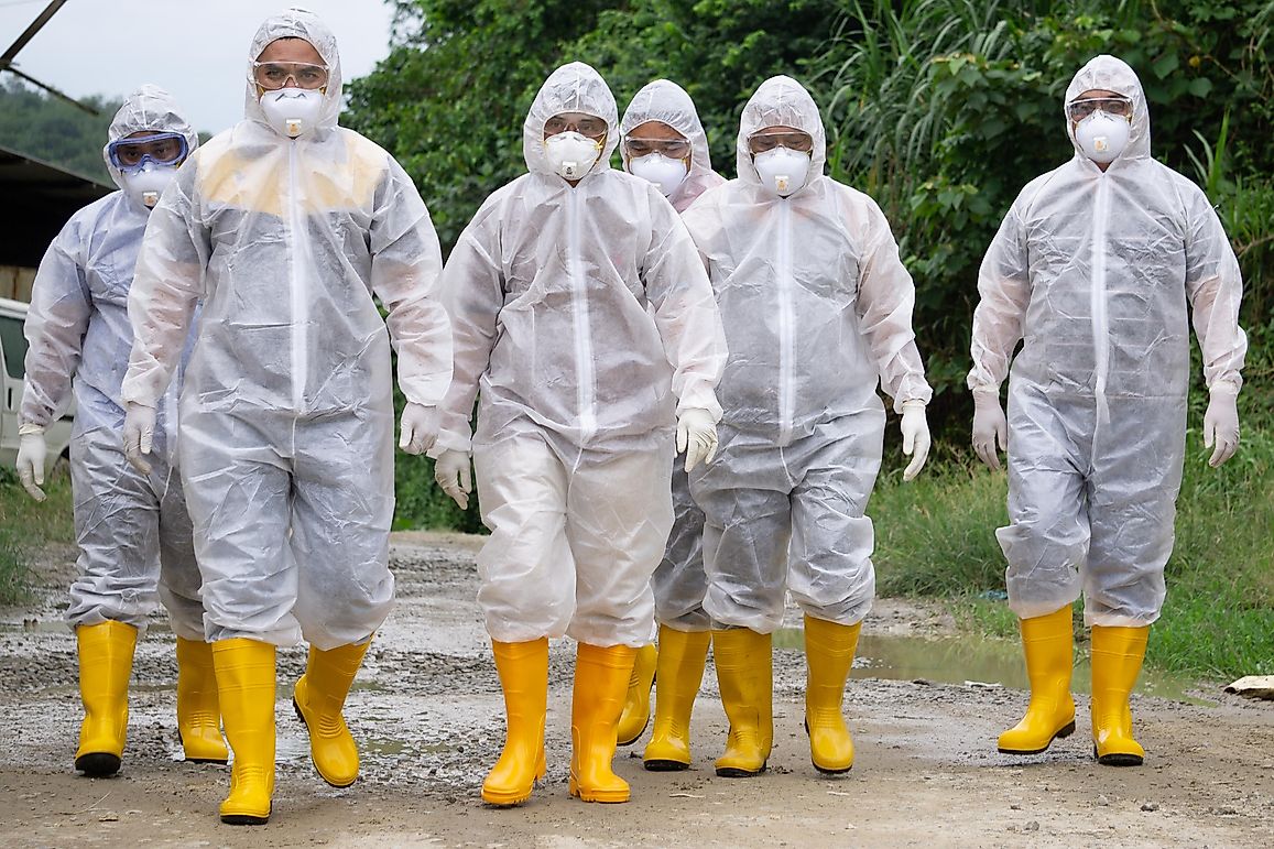 What Is A Pandemic?