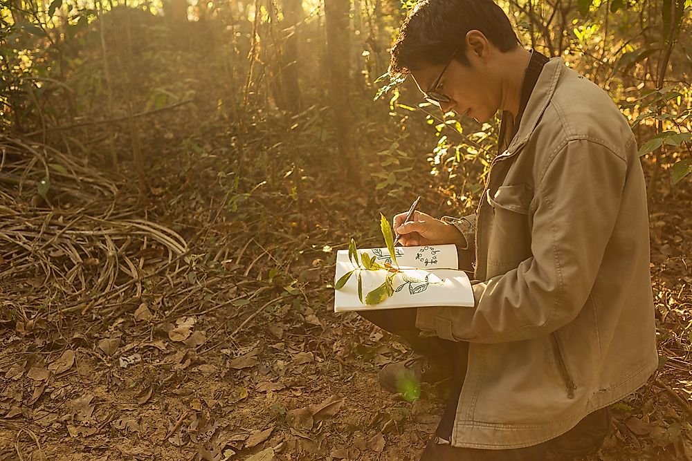 What is a Botanist?
