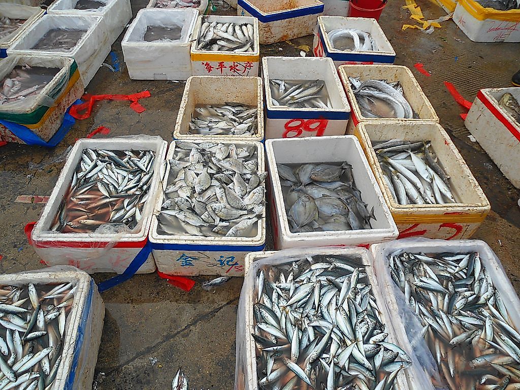 Leading Countries In Fishing And Aquaculture Harvests
