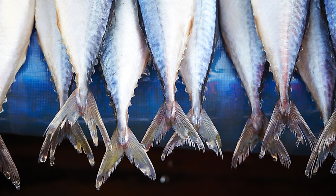 most common fish in the world to eat