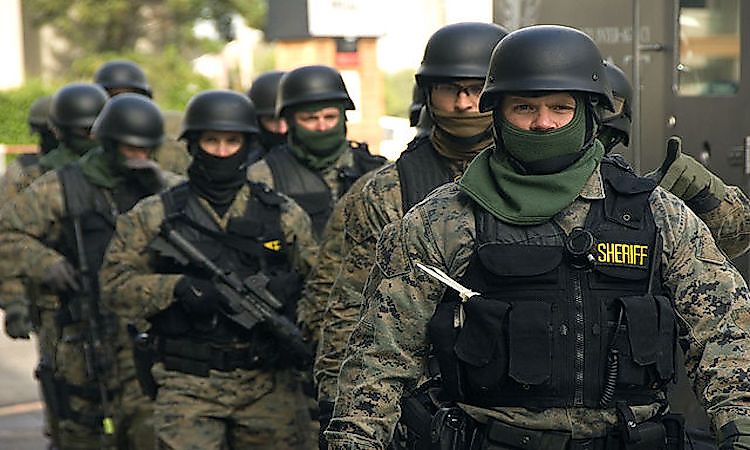 What Does SWAT Stand For?